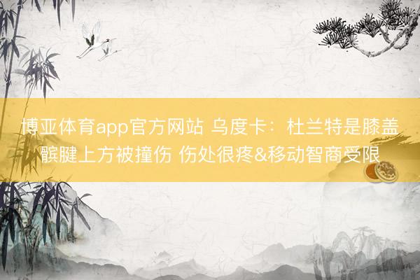 博亚体育app官方网站 乌度卡:杜兰特是膝盖髌腱上方被撞伤 伤处很疼&移动智商受限