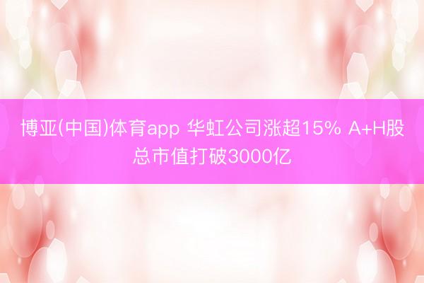博亚(中国)体育app 华虹公司涨超15% A+H股总市值打破3000亿