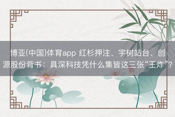 博亚(中国)体育app 红杉押注、宇树站台、创源股份背书：具深科技凭什么集皆这三张“王炸”？