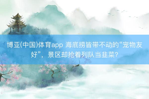 博亚(中国)体育app 海底捞皆带不动的“宠物友好”，景区却抢着列队当韭菜？
