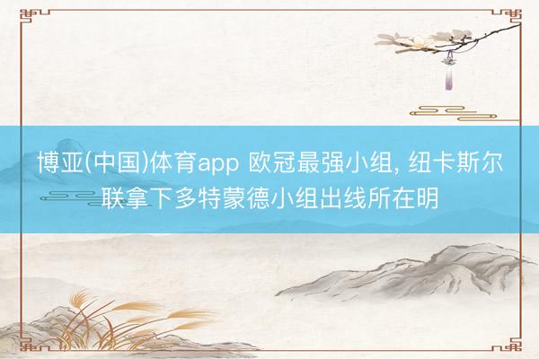 博亚(中国)体育app 欧冠最强小组， 纽卡斯尔联拿下多特蒙德小组出线所在明