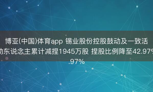 博亚(中国)体育app 锡业股份控股鼓动及一致活动东说念主累计减捏1945万股 捏股比例降至42.97%