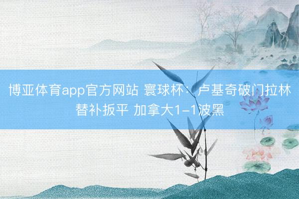 博亚体育app官方网站 寰球杯：卢基奇破门拉林替补扳平 加拿大1-1波黑