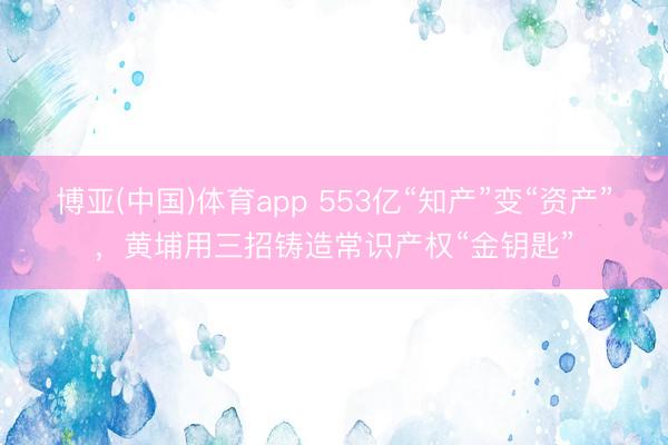 博亚(中国)体育app 553亿“知产”变“资产”，黄埔用三招铸造常识产权“金钥匙”