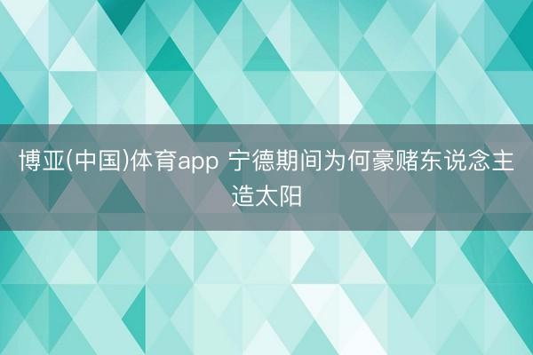 博亚(中国)体育app 宁德期间为何豪赌东说念主造太阳